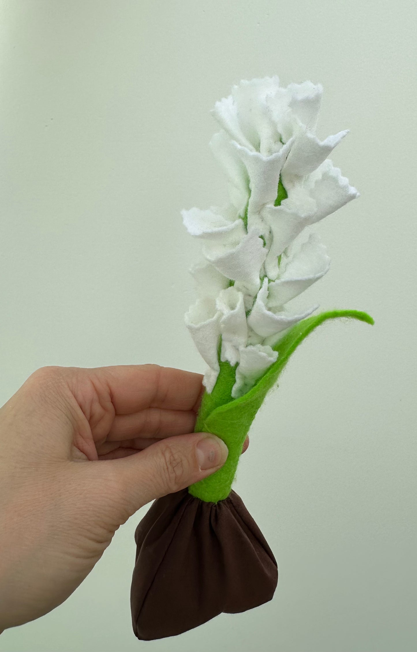 Evigheds hyacint